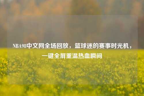 NBA98中文网全场回放,篮球迷的赛事时光机,一键全屏重温热血瞬间