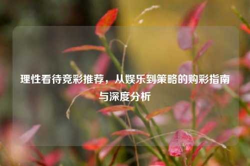理性看待竞彩推荐，从娱乐到策略的购彩指南与深度分析