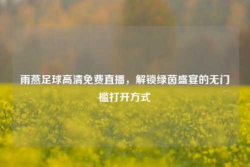 雨燕足球高清免费直播，解锁绿茵盛宴的无门槛打开方式