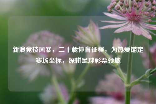 新浪竞技风暴，二十载体育征程，为热爱锚定赛场坐标，深耕足球彩票领域