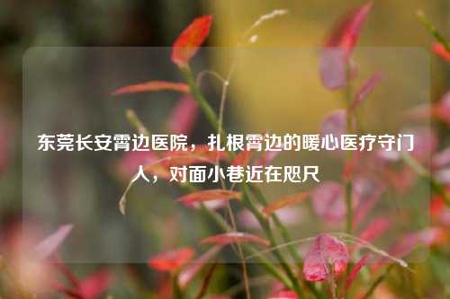 东莞长安霄边医院，扎根霄边的暖心医疗守门人，对面小巷近在咫尺