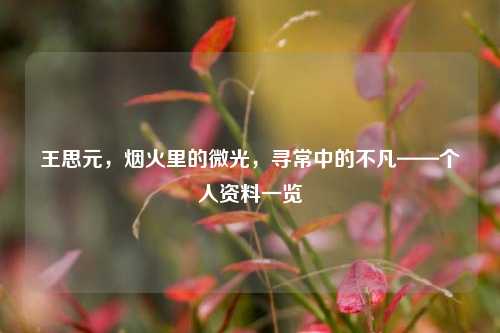 王思元，烟火里的微光，寻常中的不凡——个人资料一览