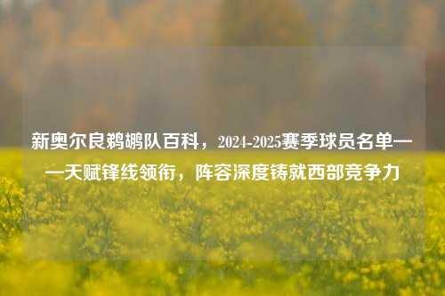 新奥尔良鹈鹕队百科，2024-2025赛季球员名单——天赋锋线领衔，阵容深度铸就西部竞争力
