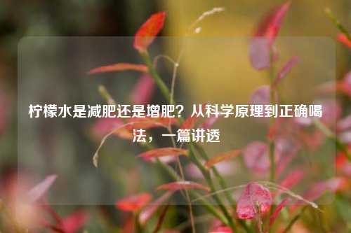 柠檬水是减肥还是增肥？从科学原理到正确喝法，一篇讲透