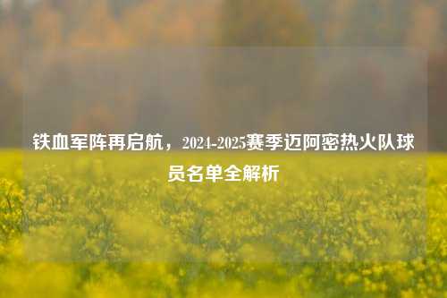 铁血军阵再启航，2024-2025赛季迈阿密热火队球员名单全解析