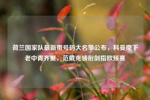 荷兰国家队最新带号码大名单公布，科曼麾下老中青齐聚，范戴克领衔剑指欧预赛