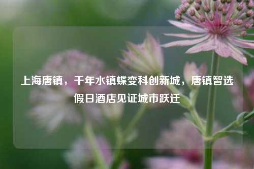 上海唐镇，千年水镇蝶变科创新城，唐镇智选假日酒店见证城市跃迁