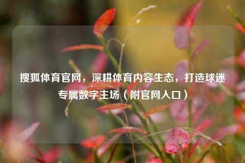 搜狐体育官网，深耕体育内容生态，打造球迷专属数字主场（附官网入口）