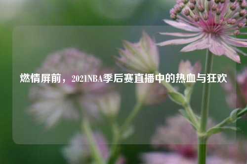 燃情屏前，2021NBA季后赛直播中的热血与狂欢