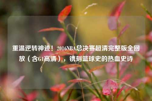 重温逆转神迹！2016NBA总决赛超清完整版全回放（含G1高清），镌刻篮球史的热血史诗