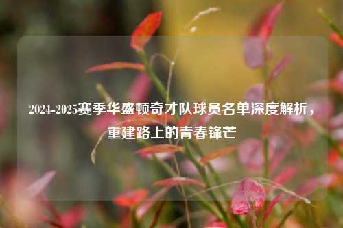 2024-2025赛季华盛顿奇才队球员名单深度解析,重建路上的青春锋芒