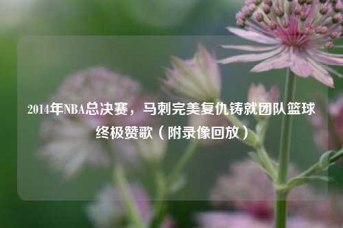 2014年NBA总决赛,马刺完美复仇铸就团队篮球终极赞歌(附录像回放)