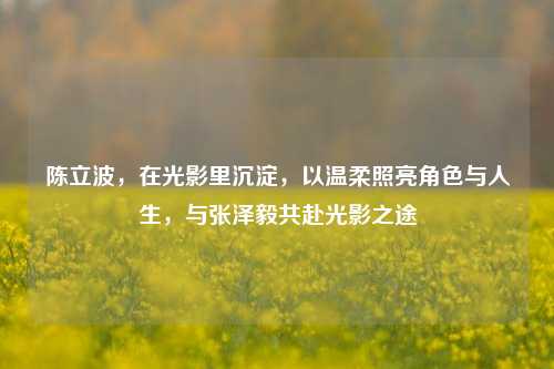 陈立波，在光影里沉淀，以温柔照亮角色与人生，与张泽毅共赴光影之途