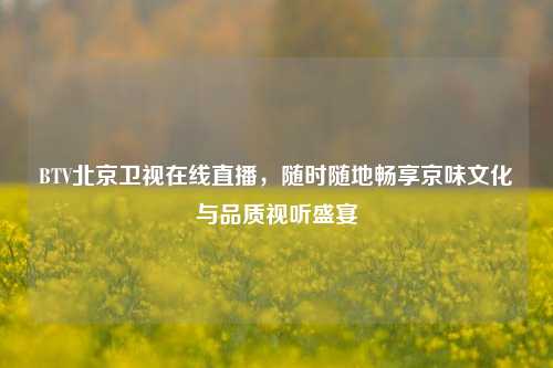 BTV北京卫视在线直播,随时随地畅享京味文化与品质视听盛宴