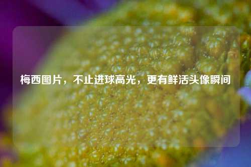 梅西图片,不止进球高光,更有鲜活头像瞬间