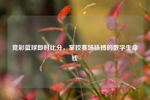 竞彩篮球即时比分,掌控赛场脉搏的数字生命线
