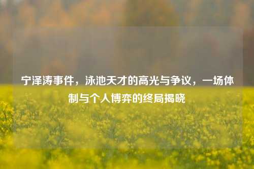 宁泽涛事件,泳池天才的高光与争议,一场体制与个人博弈的终局揭晓