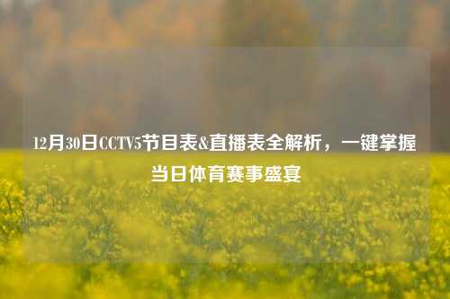12月30日CCTV5节目表&直播表全解析，一键掌握当日体育赛事盛宴