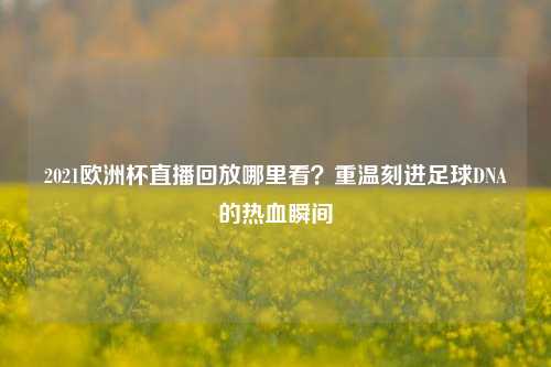 2021欧洲杯直播回放哪里看？重温刻进足球DNA的热血瞬间