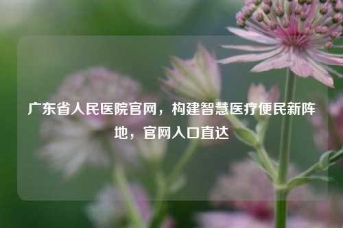广东省人民医院官网，构建智慧医疗便民新阵地，官网入口直达
