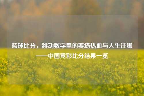 篮球比分，跳动数字里的赛场热血与人生注脚——中国竞彩比分结果一览