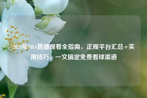 2024年NBA直播观看全指南,正规平台汇总+实用技巧,一文搞定免费看球渠道