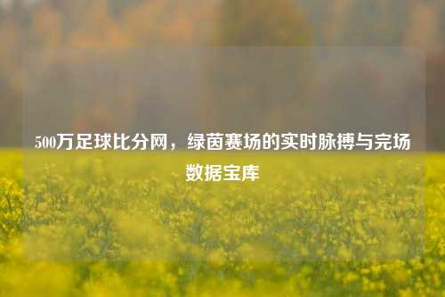 500万足球比分网,绿茵赛场的实时脉搏与完场数据宝库