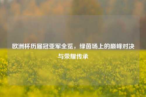 欧洲杯历届冠亚军全览，绿茵场上的巅峰对决与荣耀传承