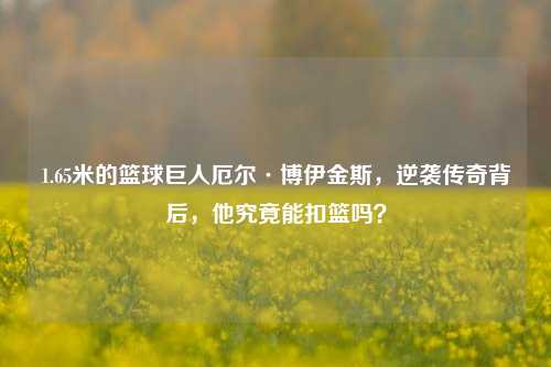 1.65米的篮球巨人厄尔·博伊金斯,逆袭传奇背后,他究竟能扣篮吗?