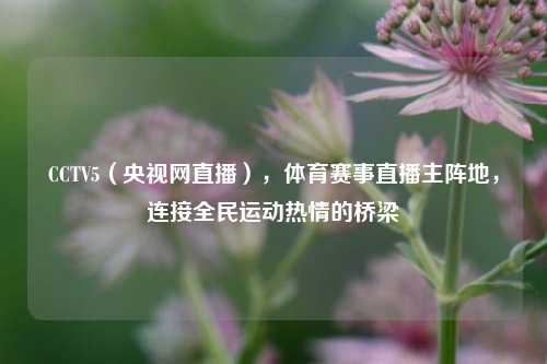 CCTV5(央视网直播),体育赛事直播主阵地,连接全民运动热情的桥梁