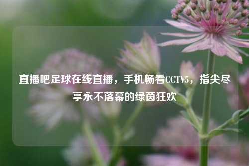 直播吧足球在线直播,手机畅看CCTV5,指尖尽享永不落幕的绿茵狂欢