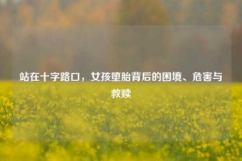 站在十字路口,女孩堕胎背后的困境、危害与救赎