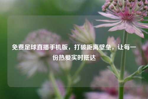 免费足球直播手机版,打破距离壁垒,让每一份热爱实时抵达