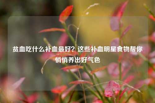 贫血吃什么补血最好?这些补血明星食物帮你悄悄养出好气色