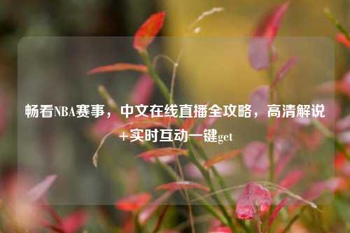 畅看NBA赛事,中文在线直播全攻略,高清解说+实时互动一键get