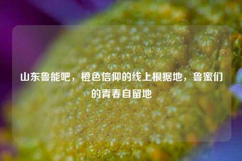 山东鲁能吧,橙色信仰的线上根据地,鲁蜜们的青春自留地