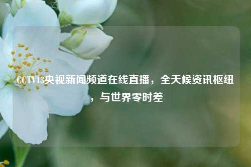 CCTV13央视新闻频道在线直播，全天候资讯枢纽，与世界零时差