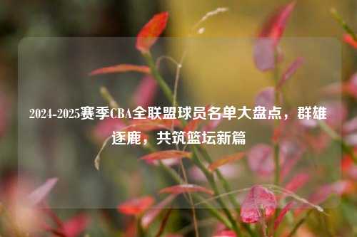 2024-2025赛季CBA全联盟球员名单大盘点,群雄逐鹿,共筑篮坛新篇