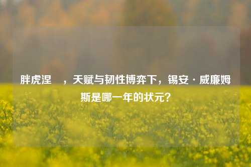 胖虎涅槃,天赋与韧性博弈下,锡安·威廉姆斯是哪一年的状元?