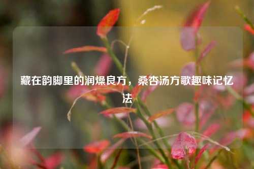 藏在韵脚里的润燥良方,桑杏汤方歌趣味记忆法