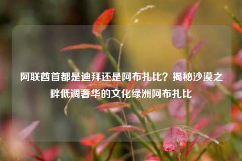 阿联酋首都是迪拜还是阿布扎比?揭秘沙漠之畔低调奢华的文化绿洲阿布扎比