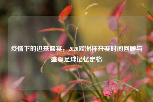 疫情下的迟来盛宴,2020欧洲杯开赛时间回顾与盛夏足球记忆定格