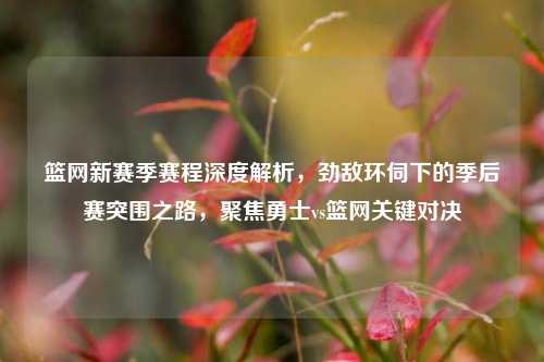 篮网新赛季赛程深度解析,劲敌环伺下的季后赛突围之路,聚焦勇士vs篮网关键对决