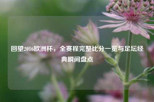 回望2016欧洲杯,全赛程完整比分一览与足坛经典瞬间盘点