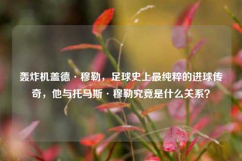 轰炸机盖德·穆勒，足球史上最纯粹的进球传奇，他与托马斯·穆勒究竟是什么关系？