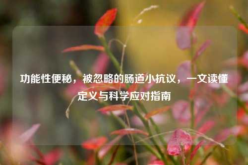功能性便秘，被忽略的肠道小抗议，一文读懂定义与科学应对指南