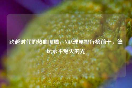 跨越时代的热血图腾,NBA球星排行榜前十,篮坛永不熄灭的光