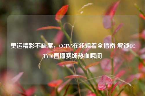 奥运精彩不缺席，CCTV5在线观看全指南 解锁CCTV16直播赛场热血瞬间