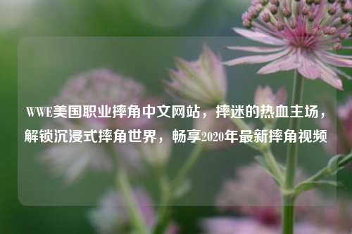 WWE美国职业摔角中文网站，摔迷的热血主场，解锁沉浸式摔角世界，畅享2020年最新摔角视频