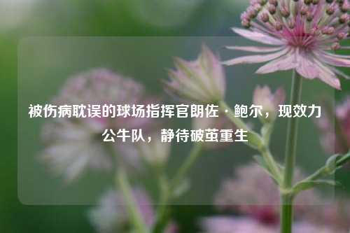 被伤病耽误的球场指挥官朗佐·鲍尔，现效力公牛队，静待破茧重生